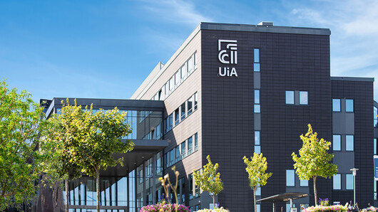 University of Agder